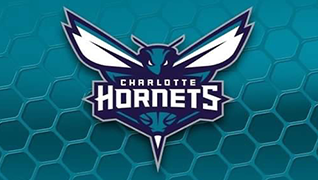 Charlotte Hornets Image